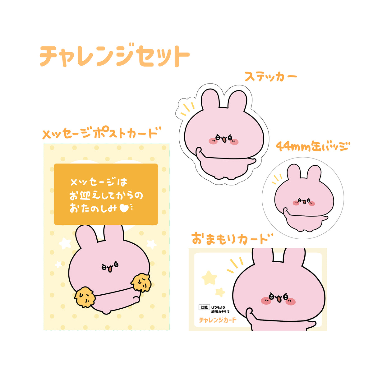 【あさみみちゃん】チャレンジセット