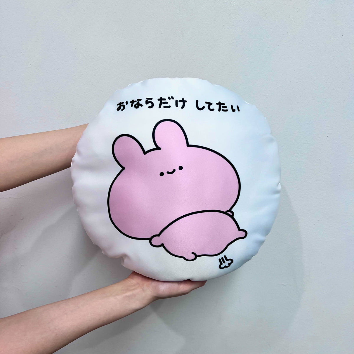【あさみみちゃん】おならだけしてたいビッグクッション(再販)【10月下旬発送】
