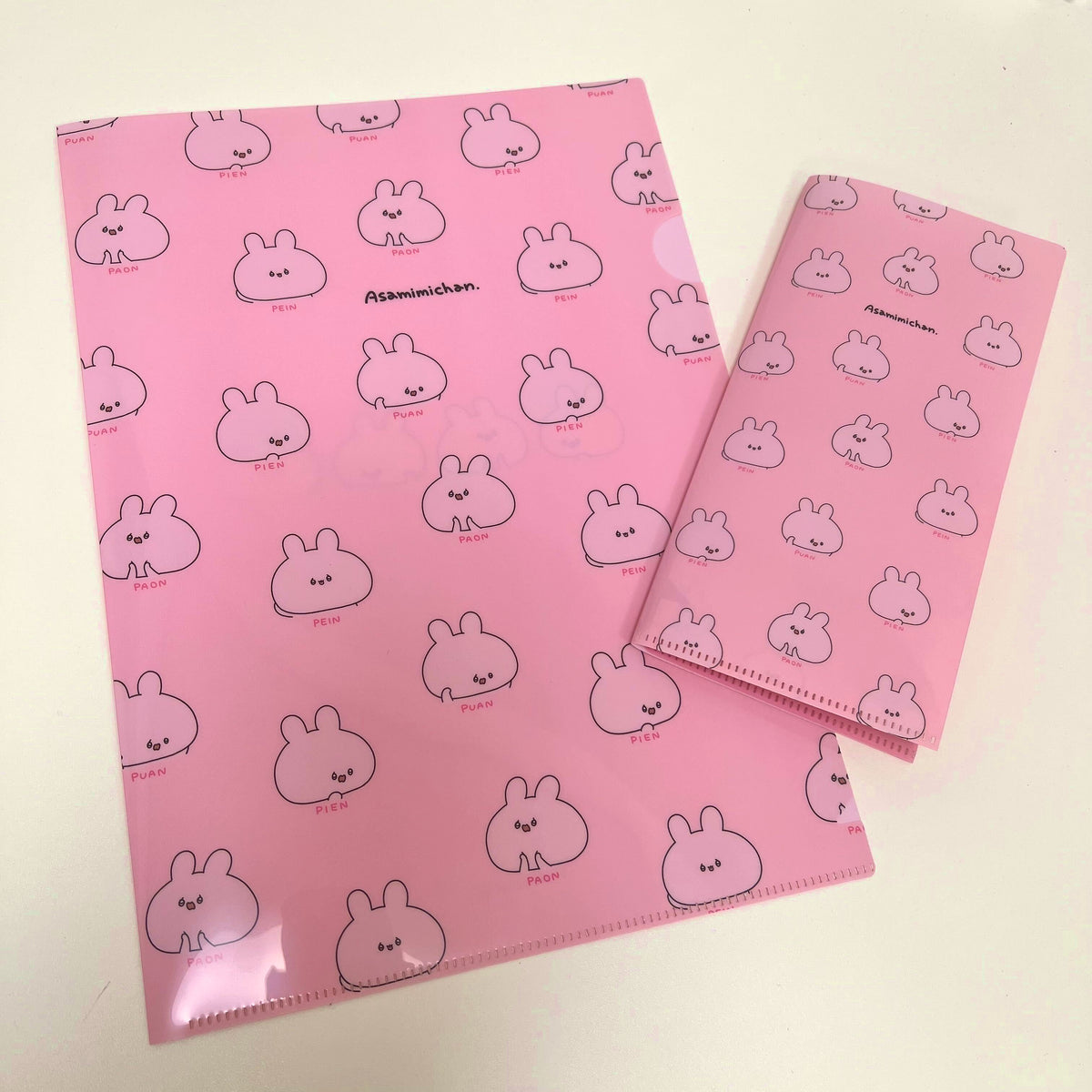 【あさみみちゃん】ぴえんがいっぱいチケットホルダー(ASAMIMI BASIC 2023 September)
