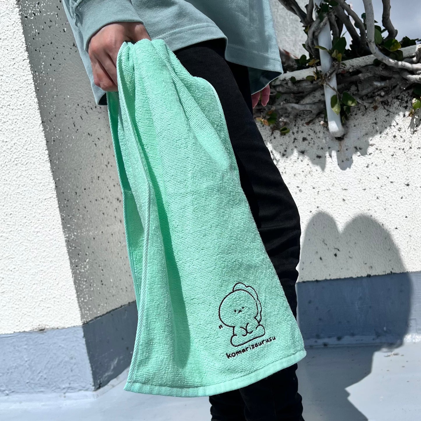 【困りザウルス】ワンポイント刺繍のフェイスタオル【5月中旬発送】