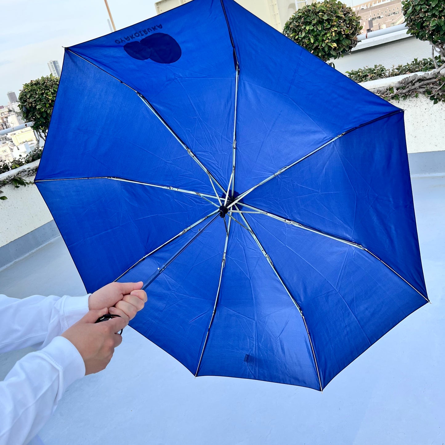 【親子イルカ】折りたたみ傘(雨用)【5月中旬発送】