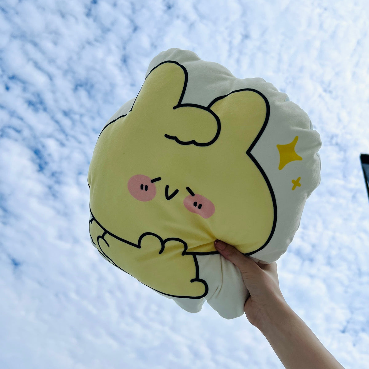【あさみみちゃん】どっちの気持ち?裏表ダイカットクッション(ふあんちゃんとしあわせちゃんシリーズ)【9月下旬発送】