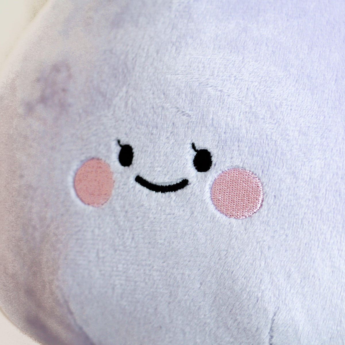 【あさみみちゃん】あさみみちゃん&あねみみちゃん30cmぬいぐるみセット【数量限定】