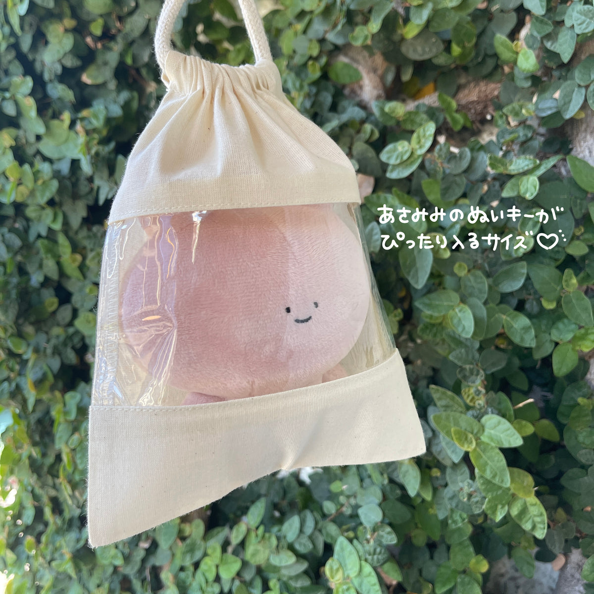 【あさみみちゃん】窓付きポーチ(ASAMIMI BASIC 2024 APRIL)
