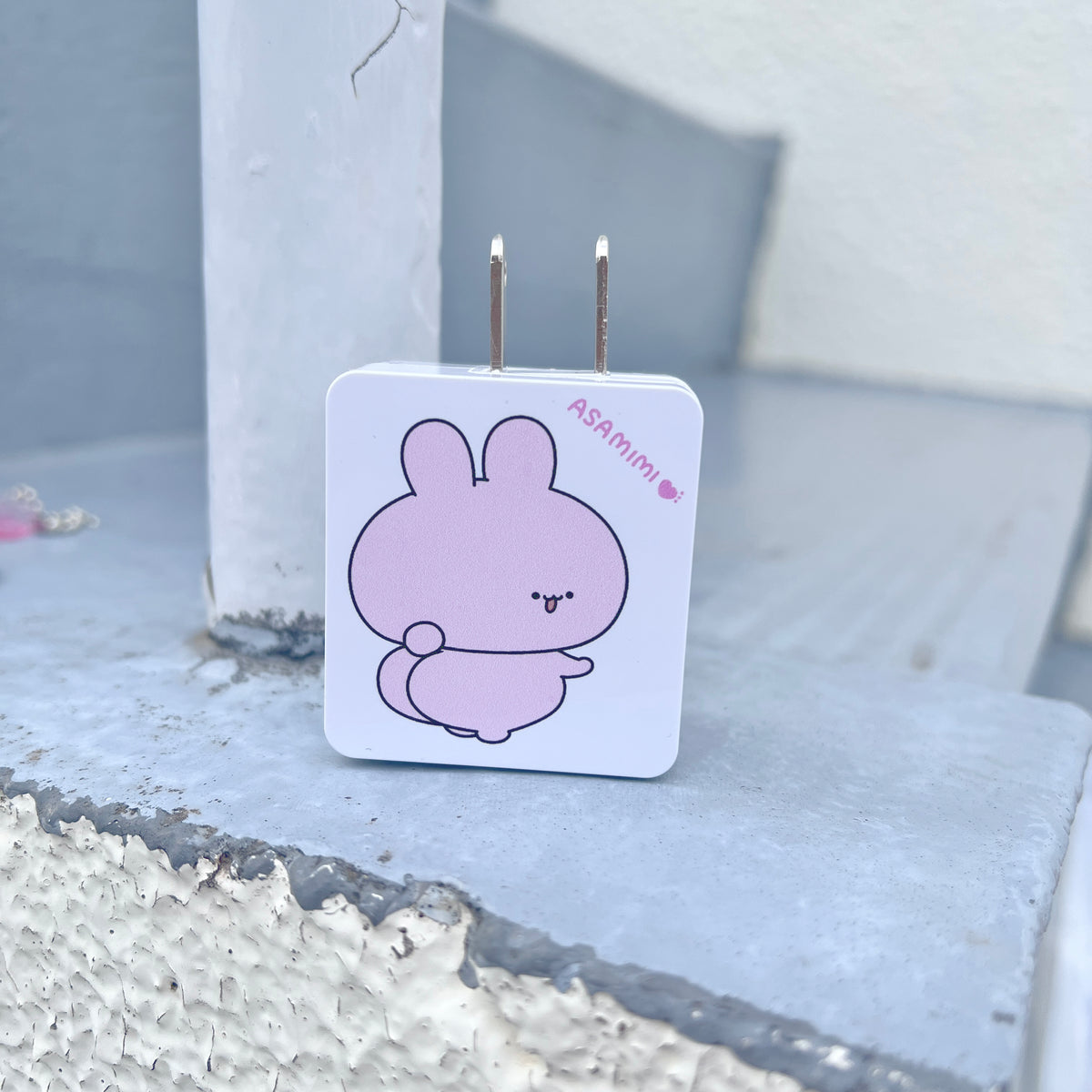 【あさみみちゃん】ACアダプタ(USB+Type-C)【2月中旬発送】