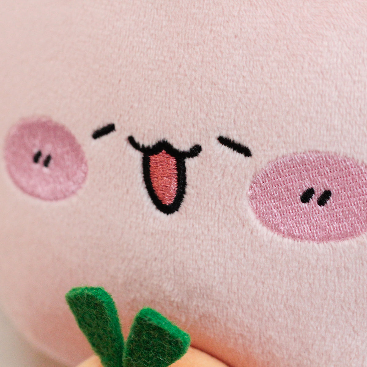 【あさみみちゃん】あさみみちゃんとにんじんちゃんぬいぐるみ30cm