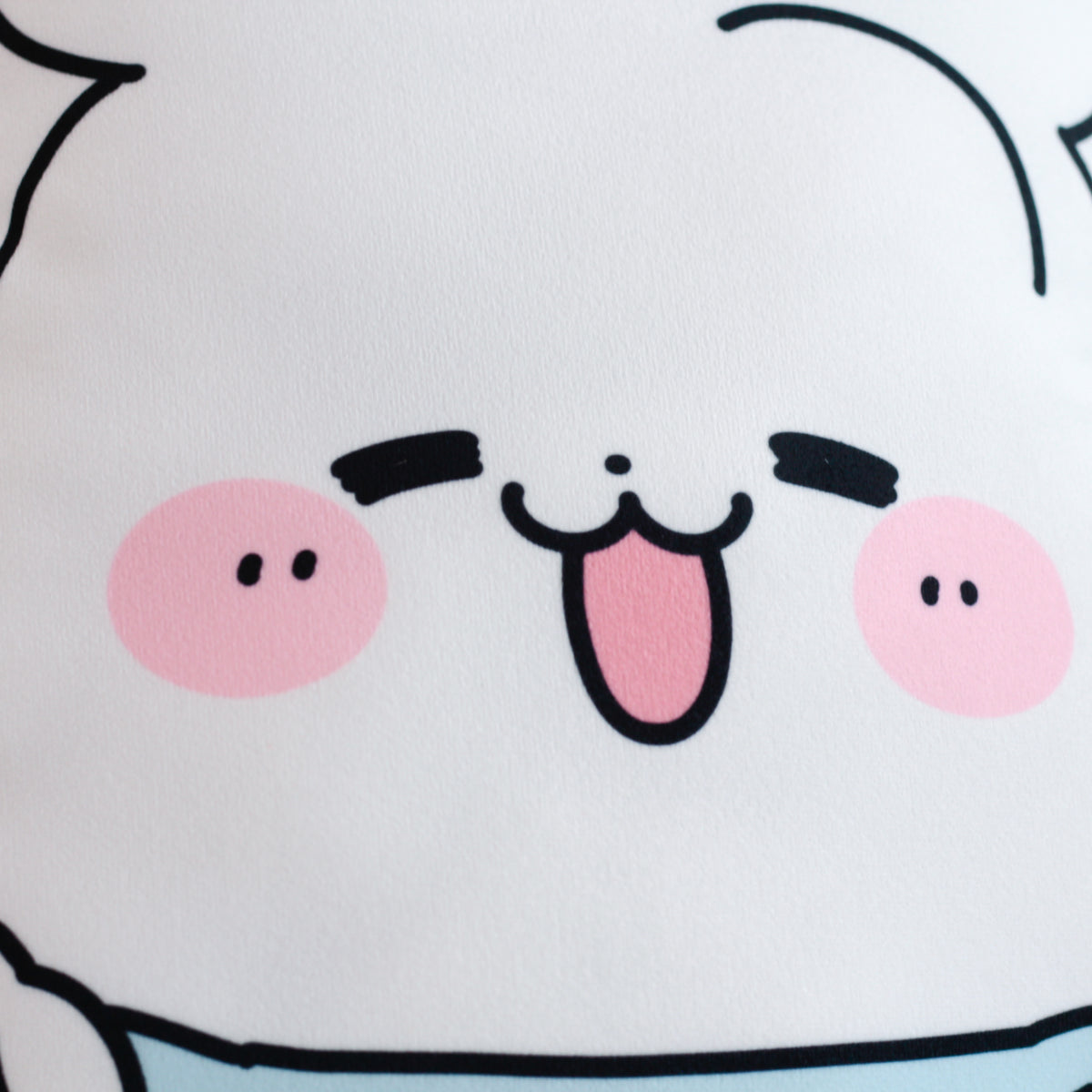 【ロイト】ビッグクッション【7月下旬発送】