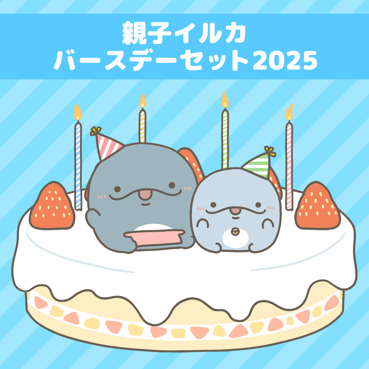 【親子イルカ】親子イルカバースデーセット2025【6月中旬発送】