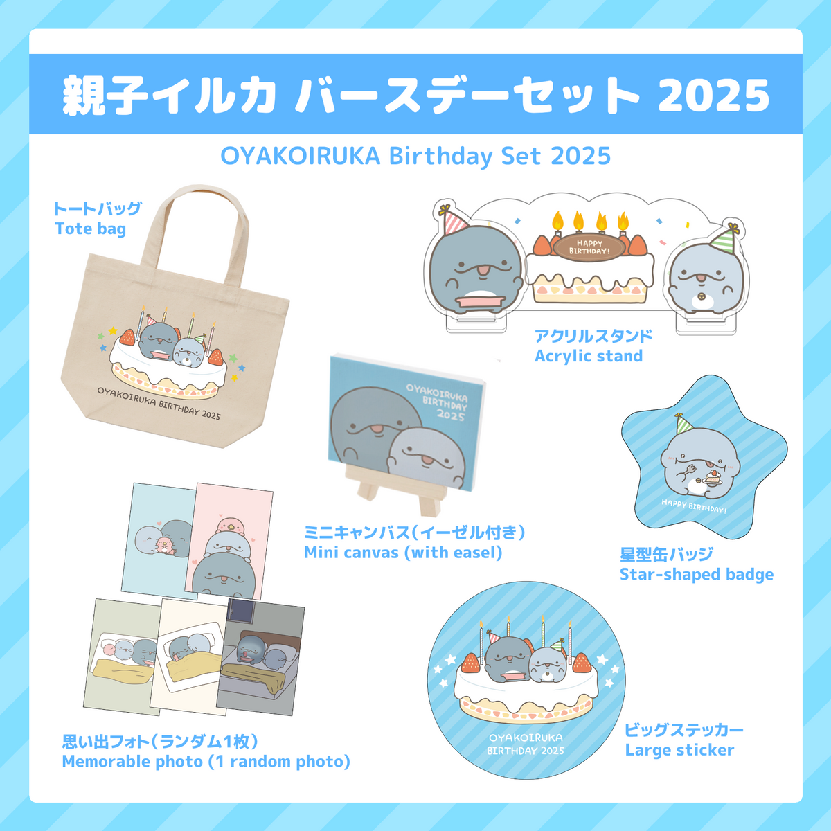 【親子イルカ】親子イルカバースデーセット2025【6月中旬発送】