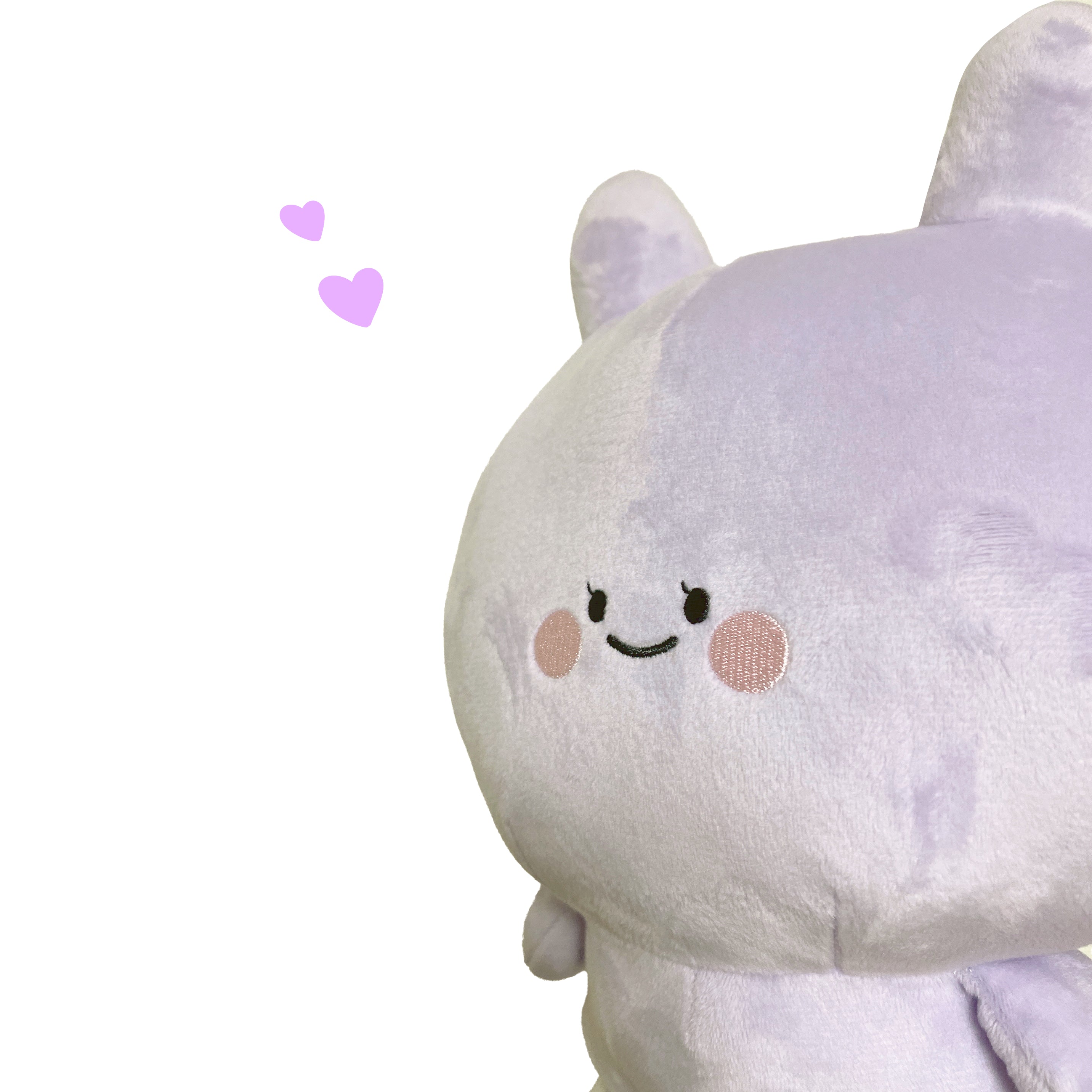 あさみみちゃん】あねみみちゃんセット(ANEMIMI HAPPY BIRTHDAY