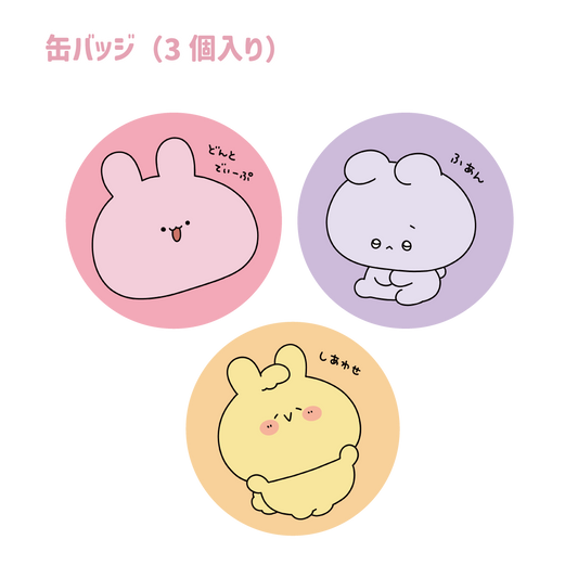 [Asamimi-chan] Tin badge (set of 3) (Asamimi BASIC AUGUST) [Shipped in mid-October]