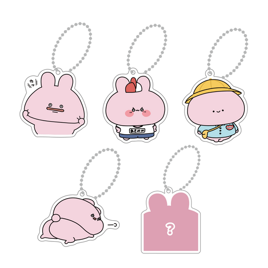 [ASAMIMICHAN] Geheimnis enthalten ✨ Zufälliger Acryl-Schlüsselanhänger Komplettset (alle 5 Typen) [Versand Mitte November]