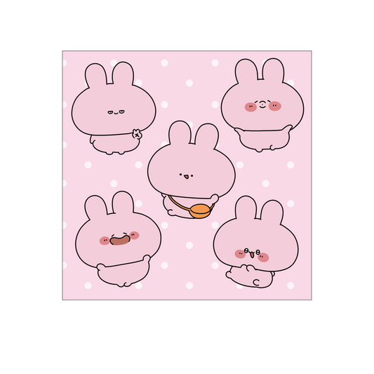 [ASAMIMICHAN] Assorted Asamimi Handkerchief Towel