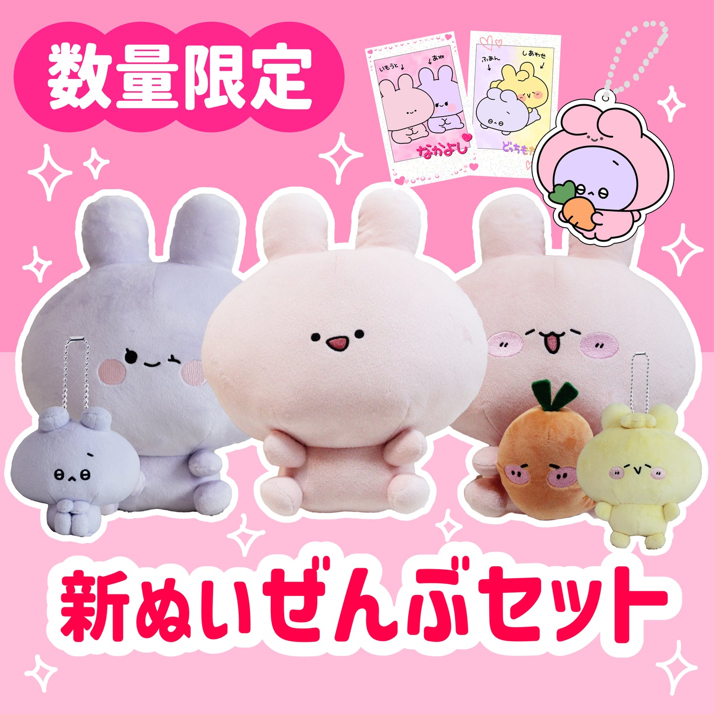 【あさみみちゃん】数量限定❣️新ぬいぜんぶセット