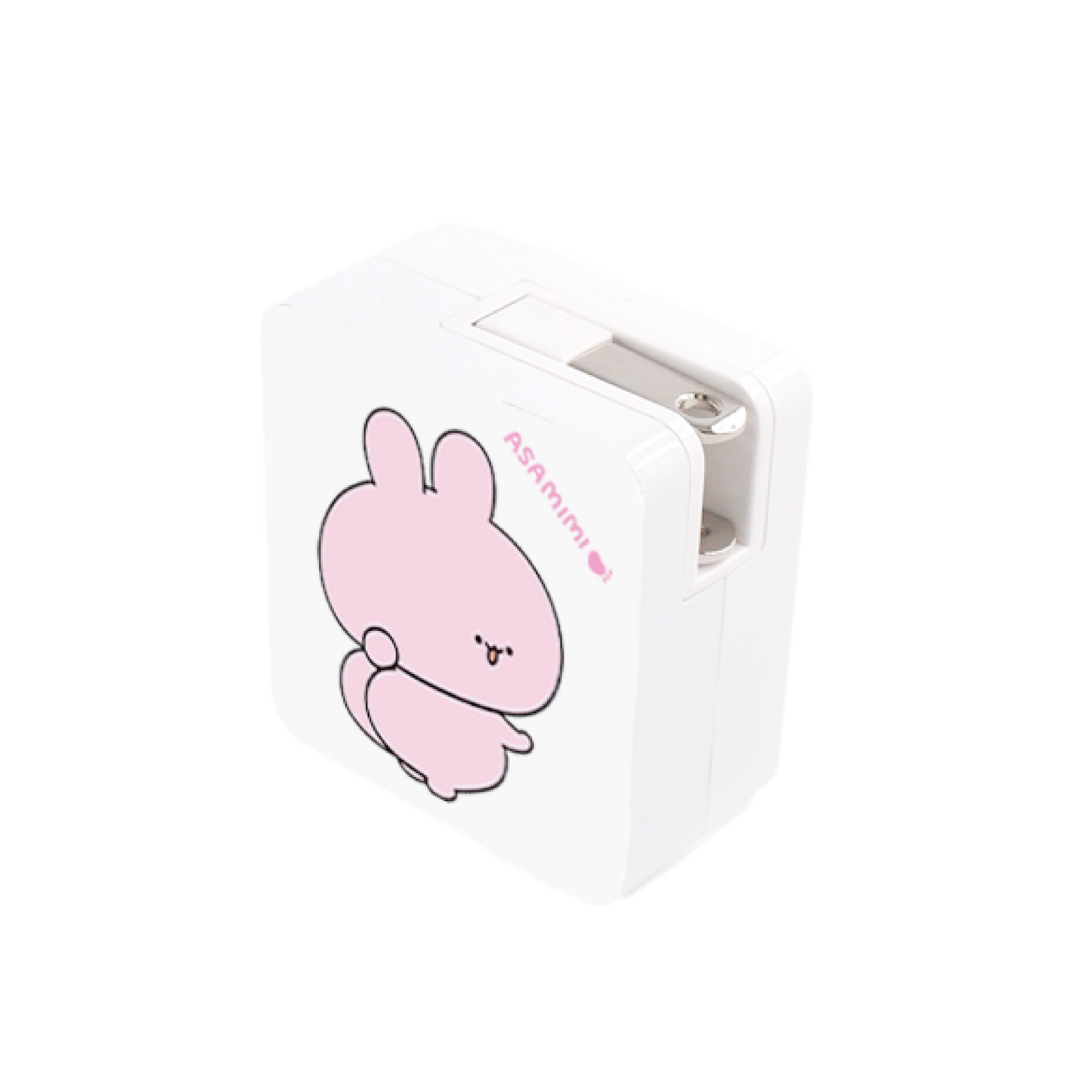 [ASAMIMICHAN]AC-Adapter (USB + Type-C)[Versand Mitte Februar]