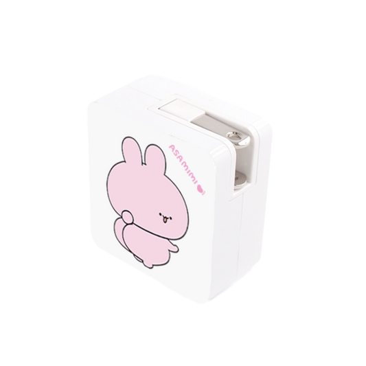 [ASAMIMICHAN] AC Adapter (USB + Type-C) [Shipping in mid-February]