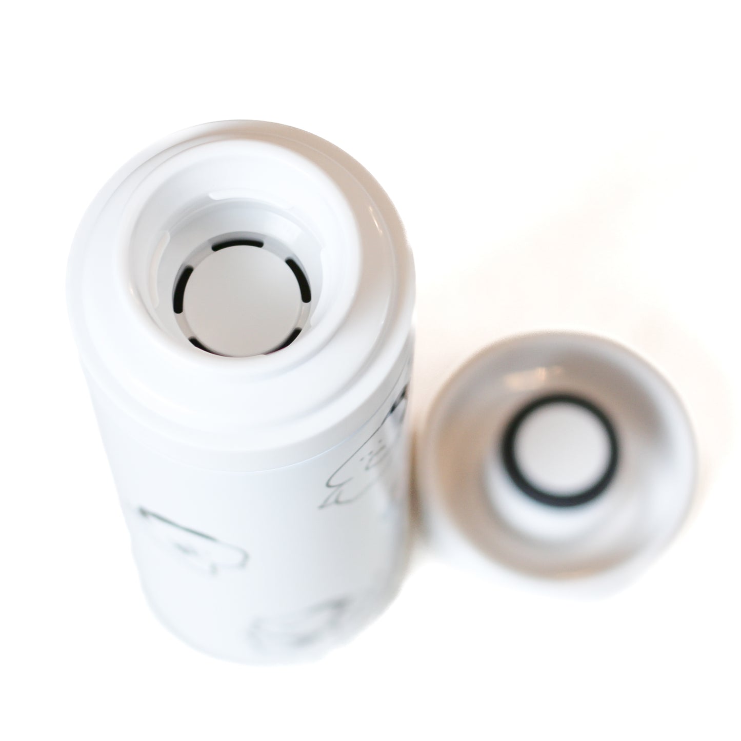 [KOMARIZAURUSU] Thermo Stainless Steel Bottle [Shipping in mid-July]