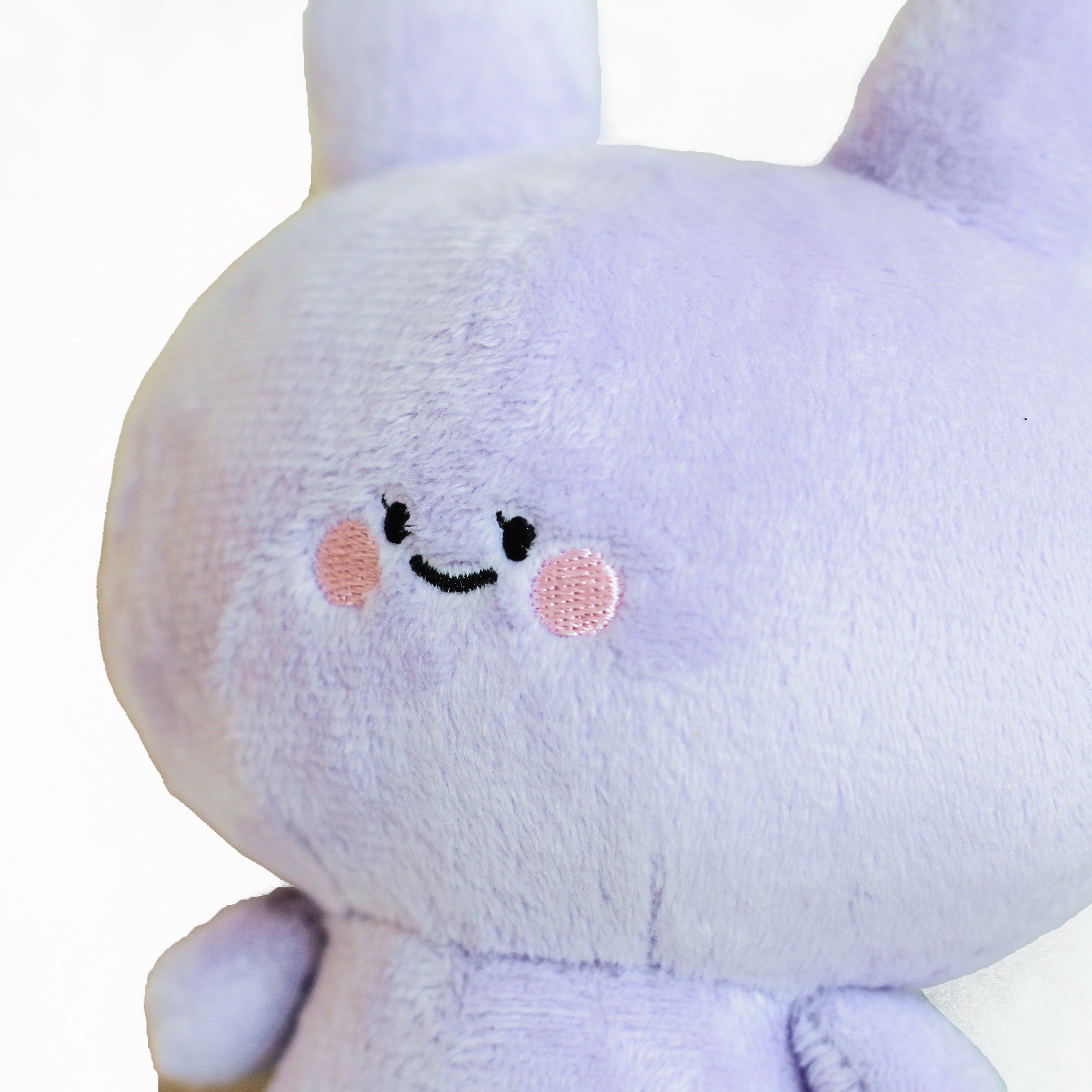 あさみみちゃん】あねみみちゃんぬいぐるみキーホルダー
