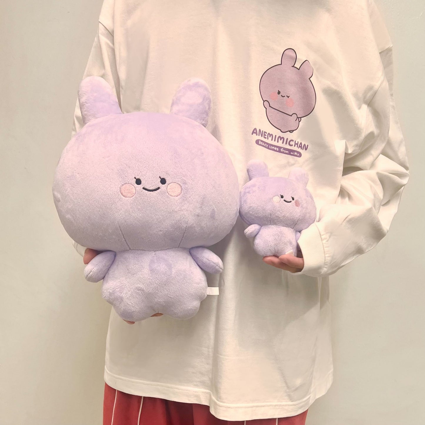 [ANEMIMI-chan] ANEMIMI-chan stuffed animal 30cm (ANEMIMI HAPPY BIRTHDAY🐰💜)
