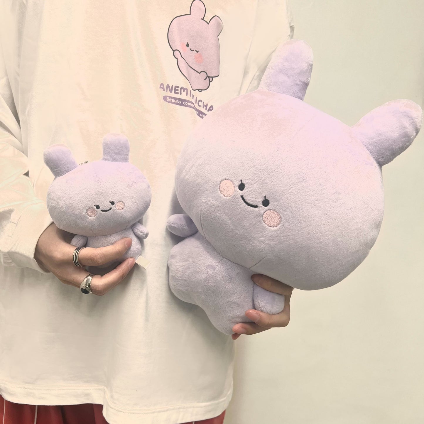 [ANEMIMI-chan] ANEMIMI-chan stuffed animal 30cm (ANEMIMI HAPPY BIRTHDAY🐰💜)