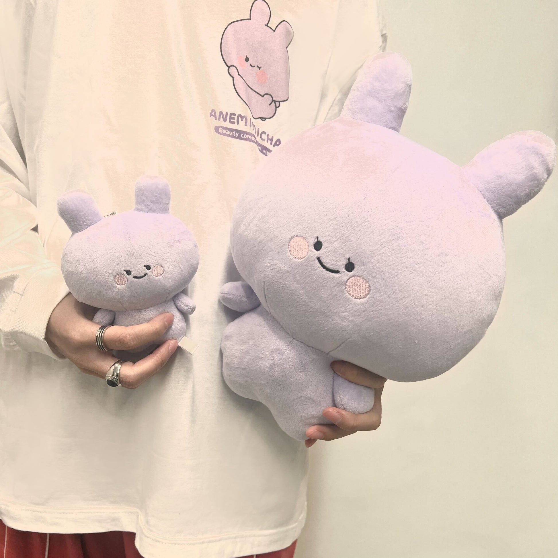 ANEMIMI-chan] ANEMIMI-chan stuffed animal 30cm (ANEMIMI HAPPY
