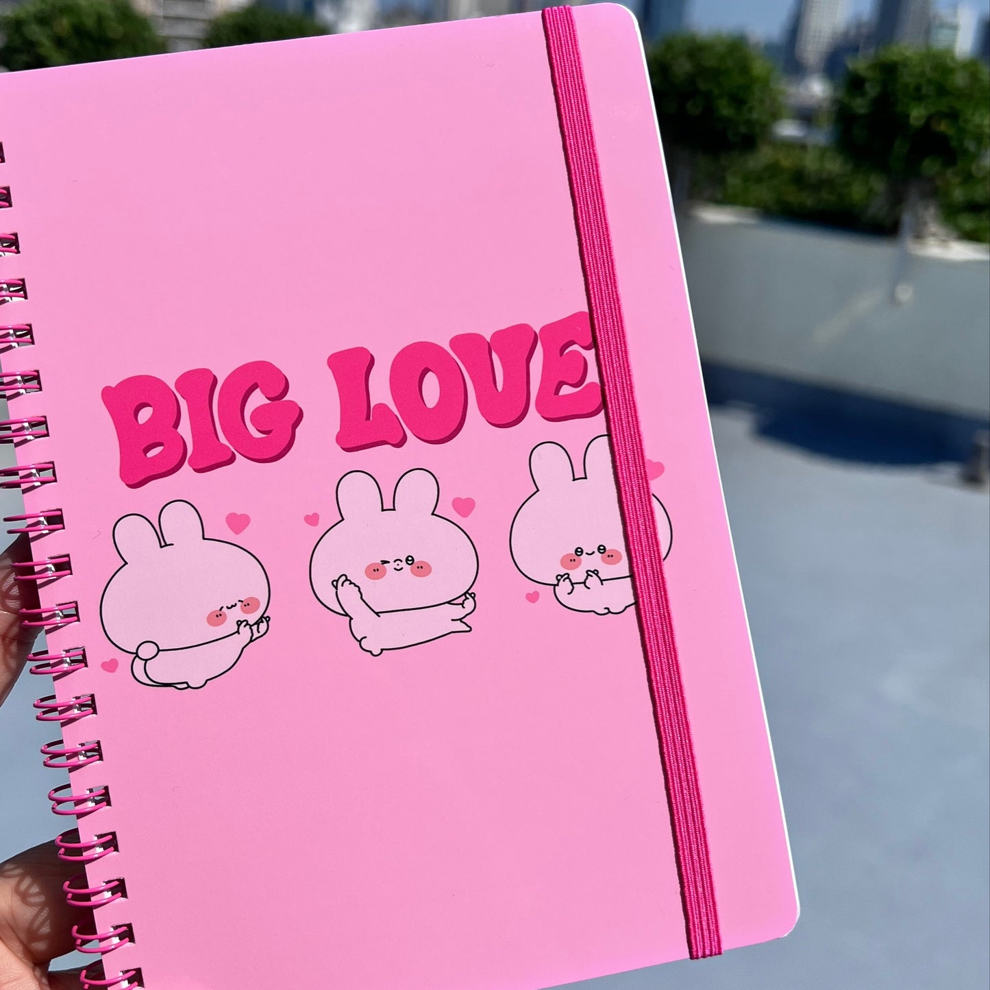 [ASAMIMICHAN] BIG LOVE♡ Ring Notebook with Elastic Band