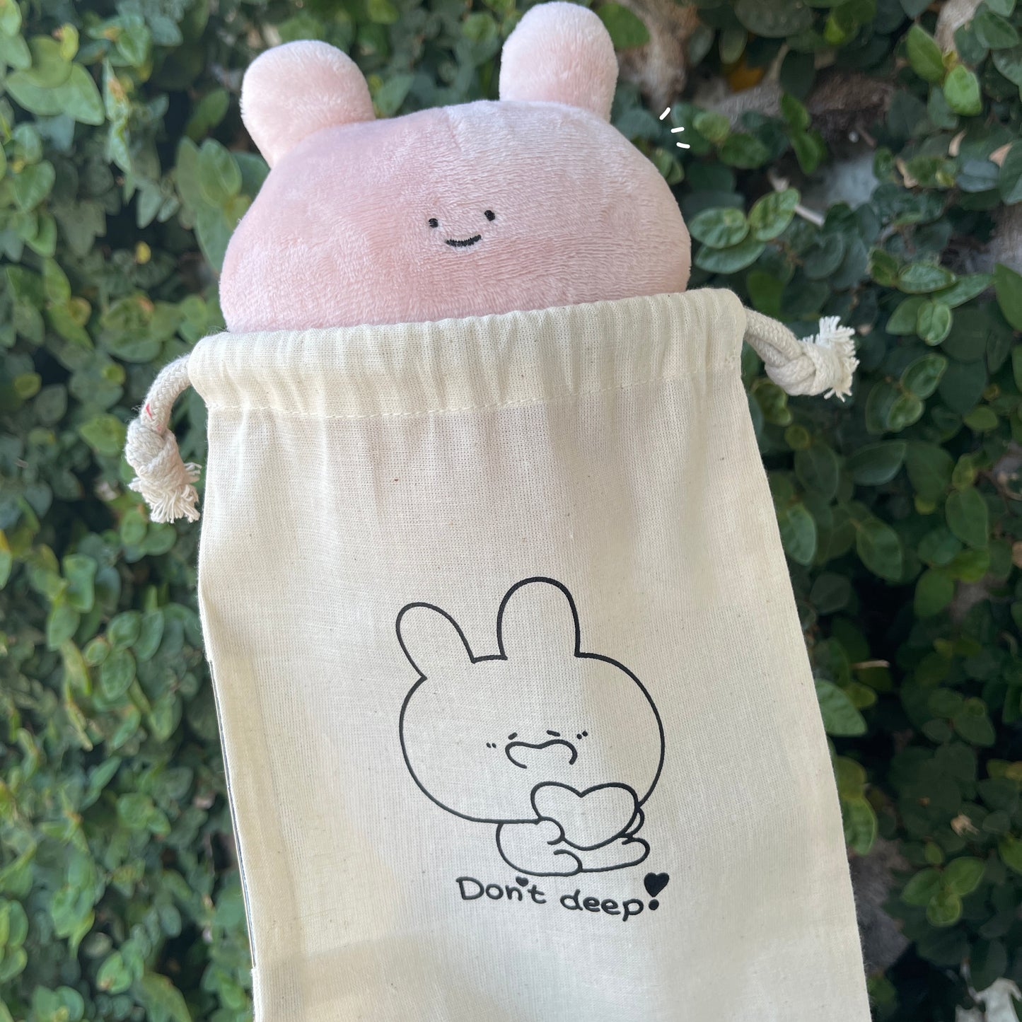 [Asamimi-chan] Push! Pouch with window [shipped in mid-June] (ASAMIMI BASIC 2024 APRIL)