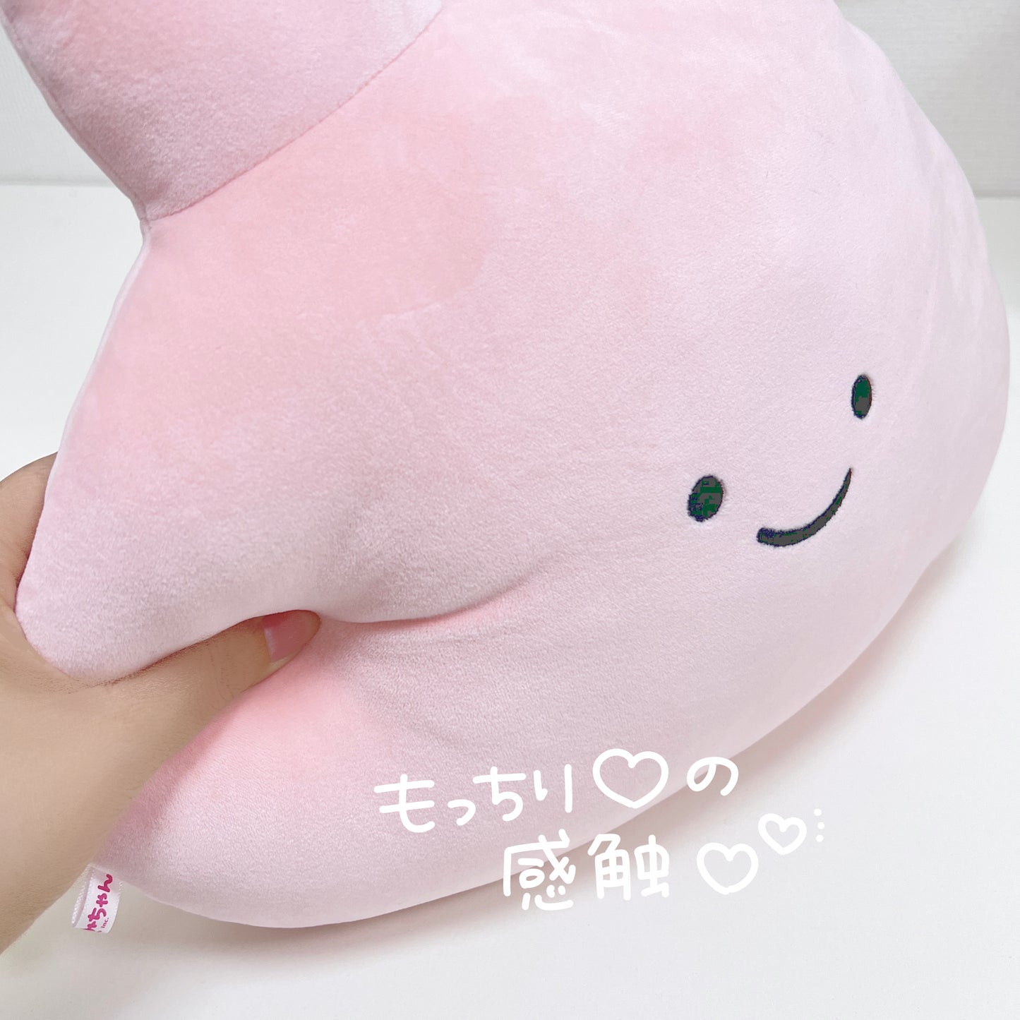 [ASAMIMICHAN] Face Cushion