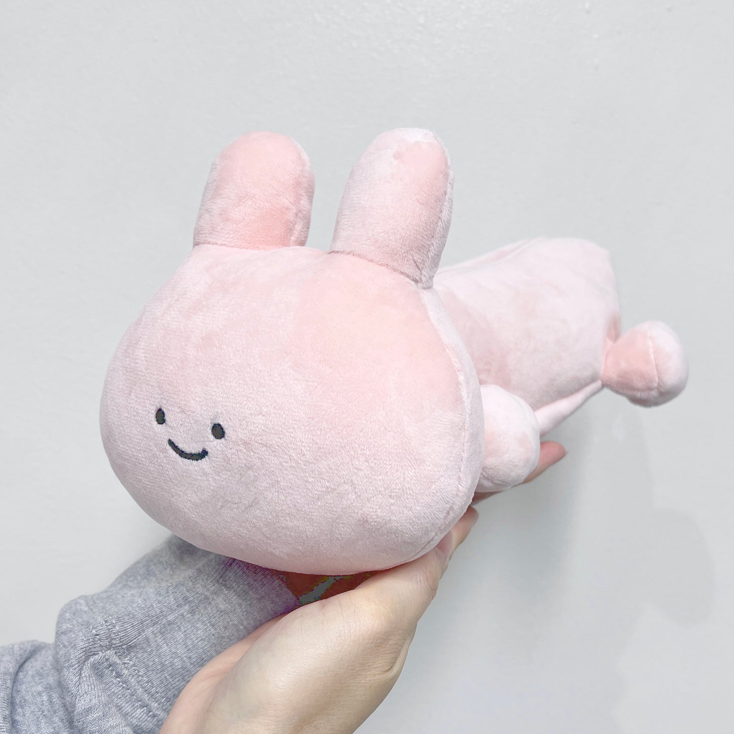 [ASAMIMICHAN] 數量限定❣️NEW ITEM 全套組