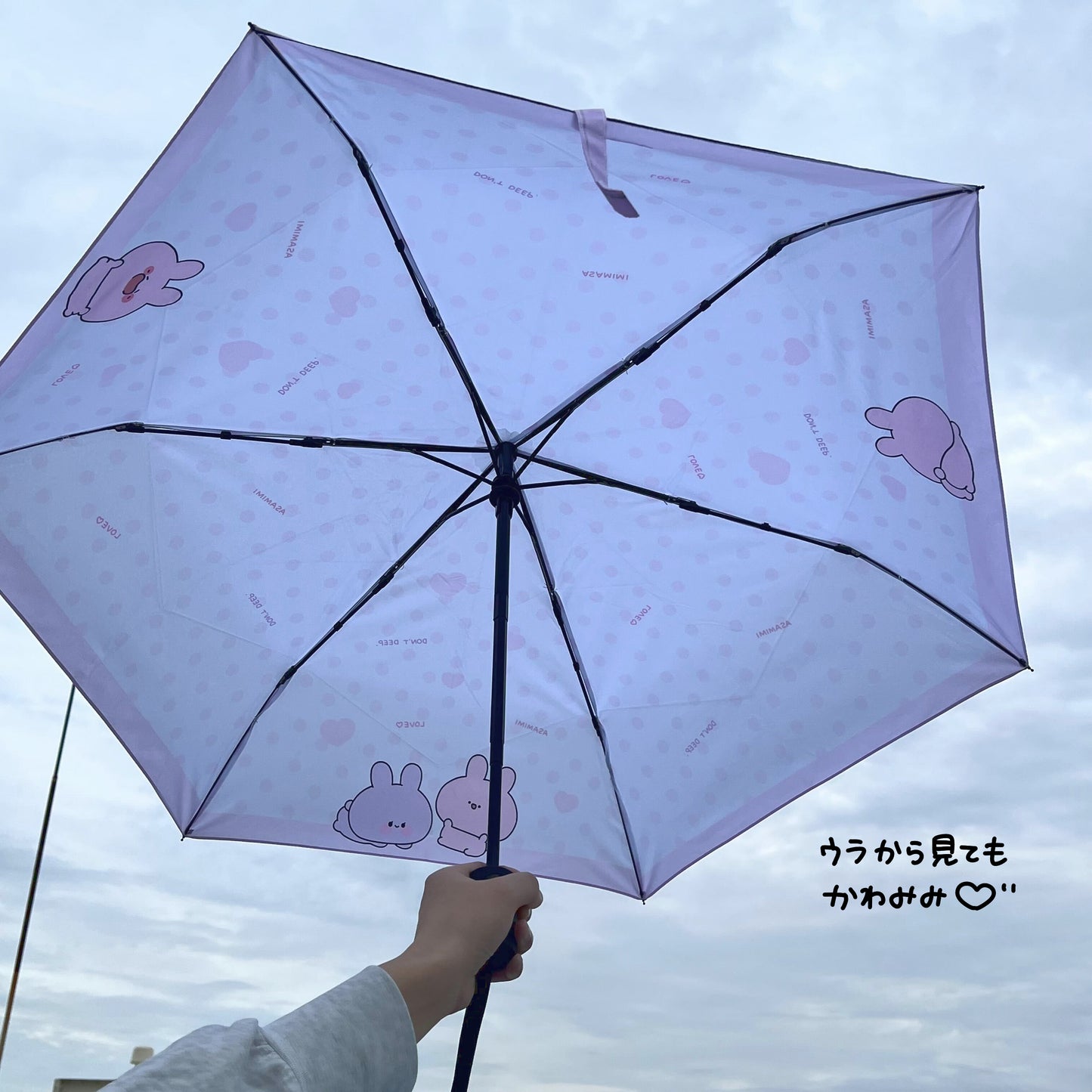 [Asamimi-chan] 折疊傘（下雨）[6月中旬發貨]（ASAMIMI BASIC 2024年4月）