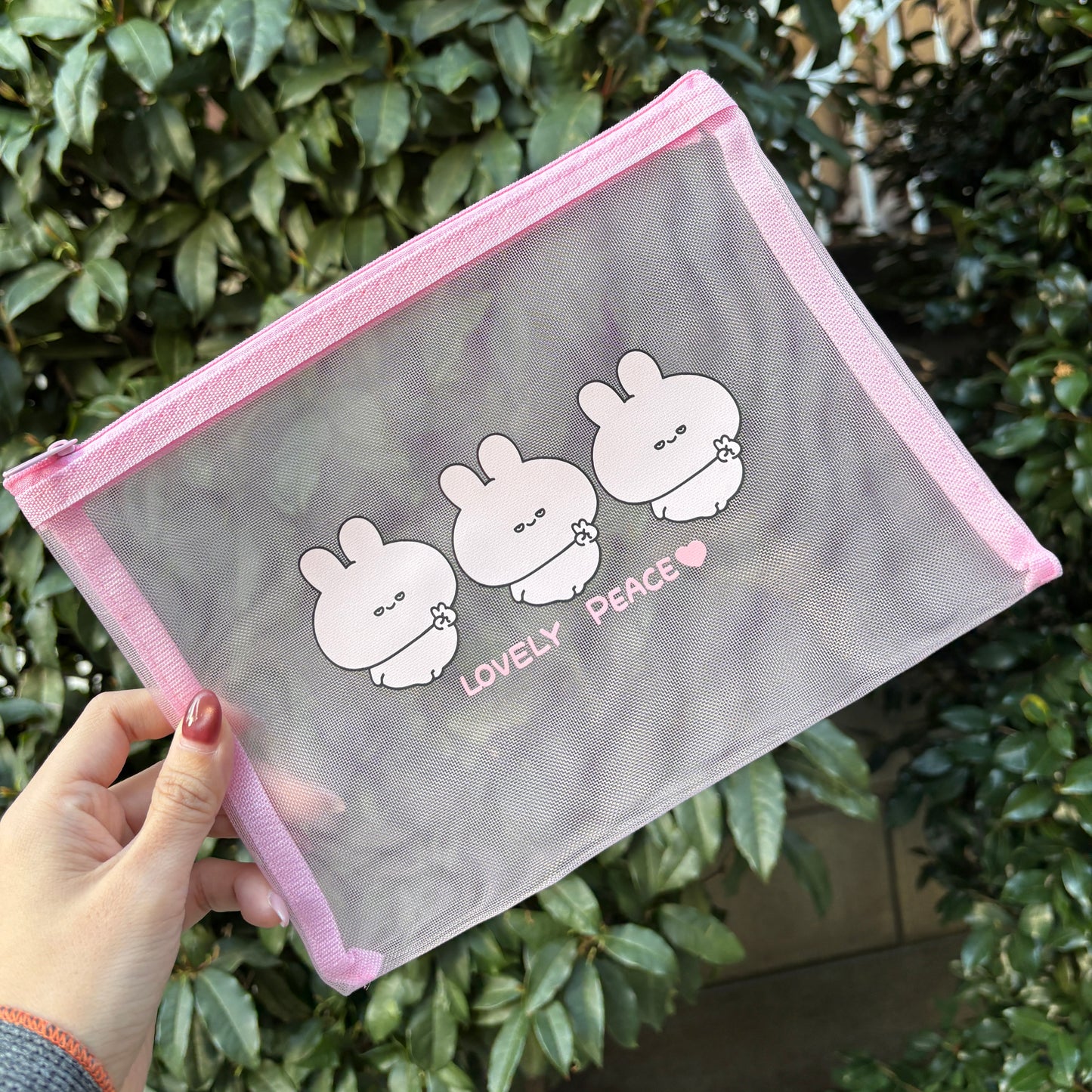 [ASAMIMICHAN] Pochette in rete [Spedizione a metà aprile]