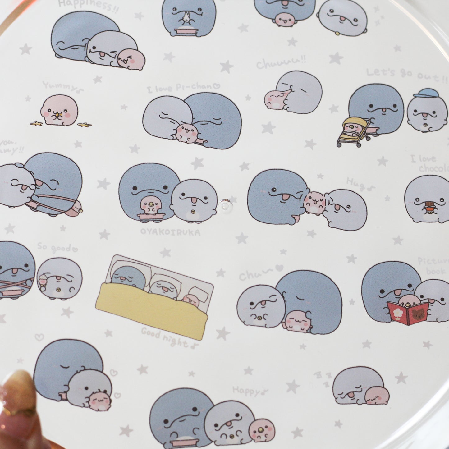 [OYAKOIRUKA] A scelta! Clear Plate [Spedizione a fine agosto]