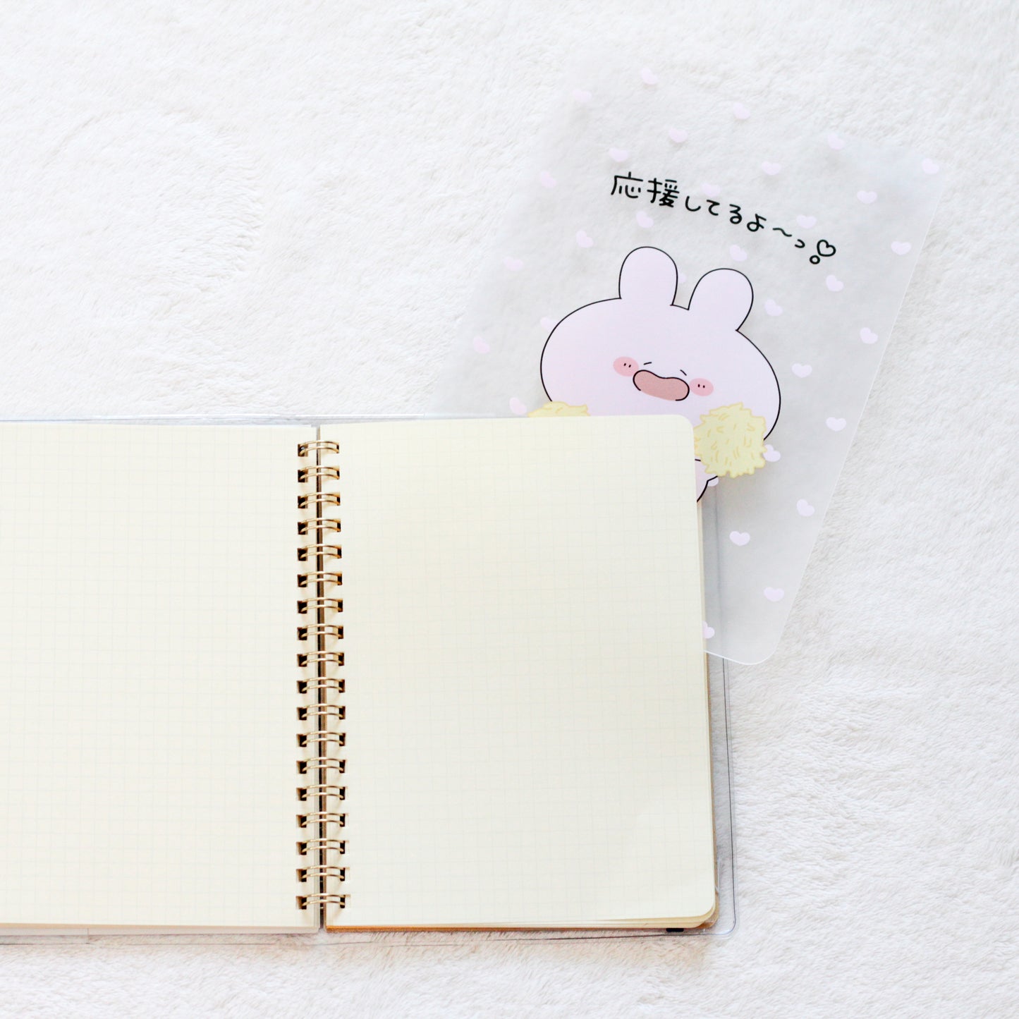 【あさみみちゃん】応援してるよ❣️A5シート下敷き