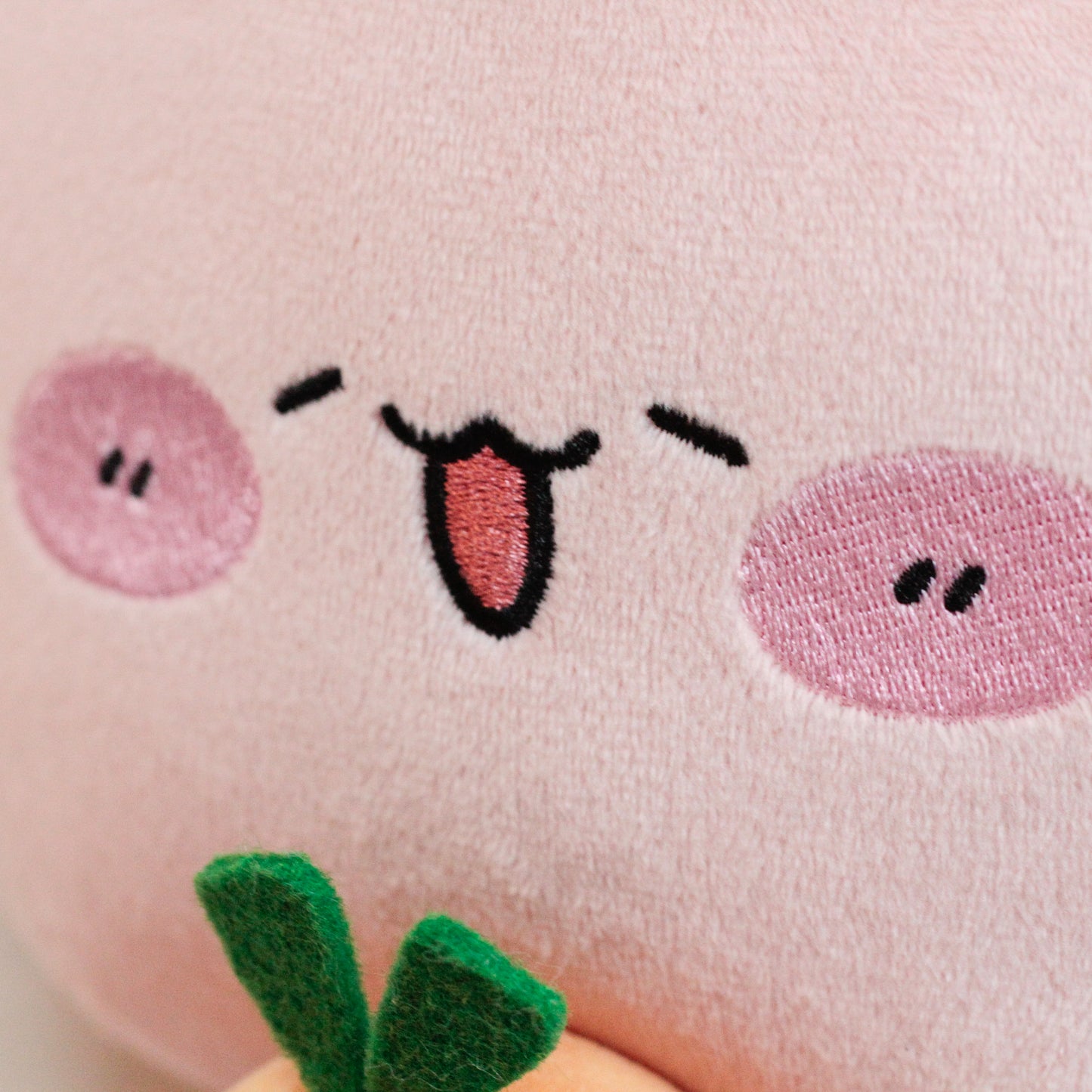 【あさみみちゃん】あさみみちゃんとにんじんちゃんぬいぐるみ30cm