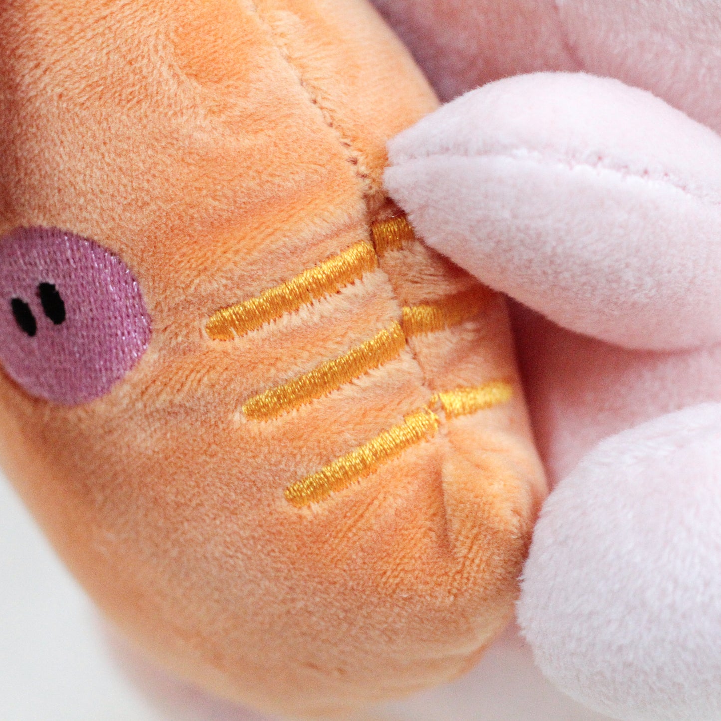 【あさみみちゃん】あさみみちゃんとにんじんちゃんぬいぐるみ30cm