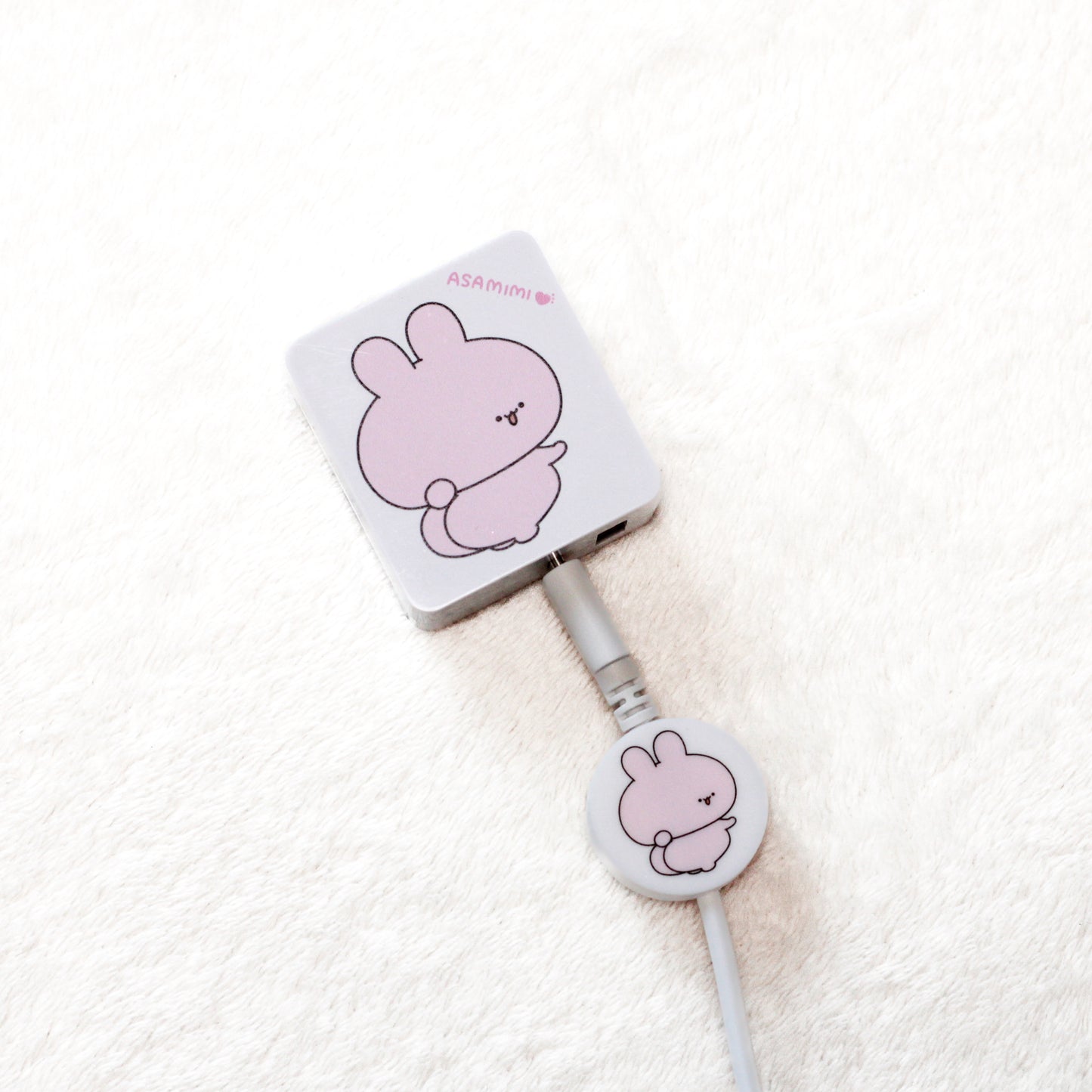 [ASAMIMICHAN]AC-Adapter (USB + Type-C)[Versand Mitte Februar]