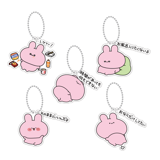 【あさみみちゃん】ランダムメッセージアクキーコンプリートセット（全5種）【5月下旬発送】