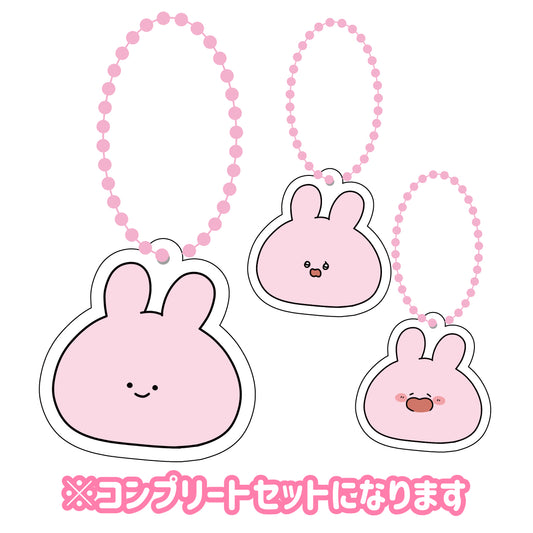 【あさみみちゃん】アクリルキーホルダーコンプリートセット（あさみみフェイス全3種）【3月上旬発送】