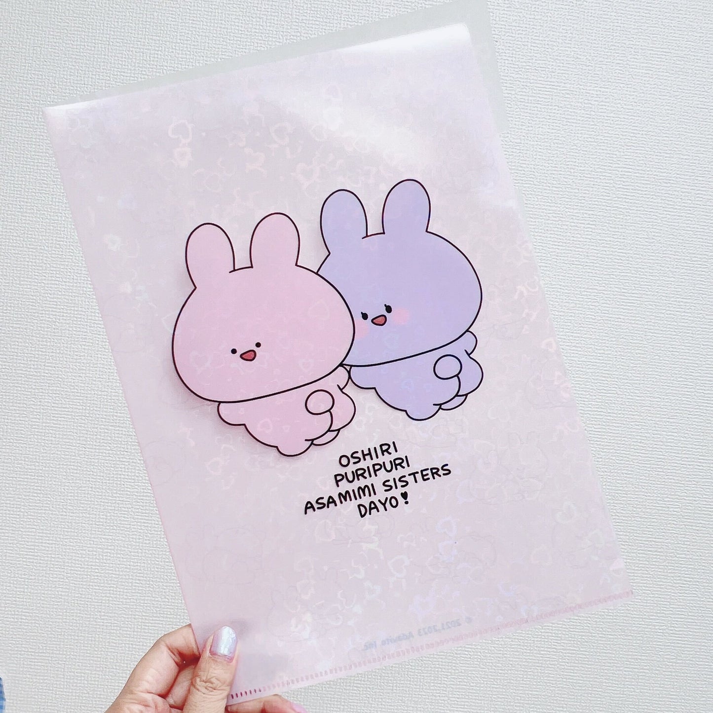 [Asamimi-chan] Glitter A4 clear file [shipped in early March]