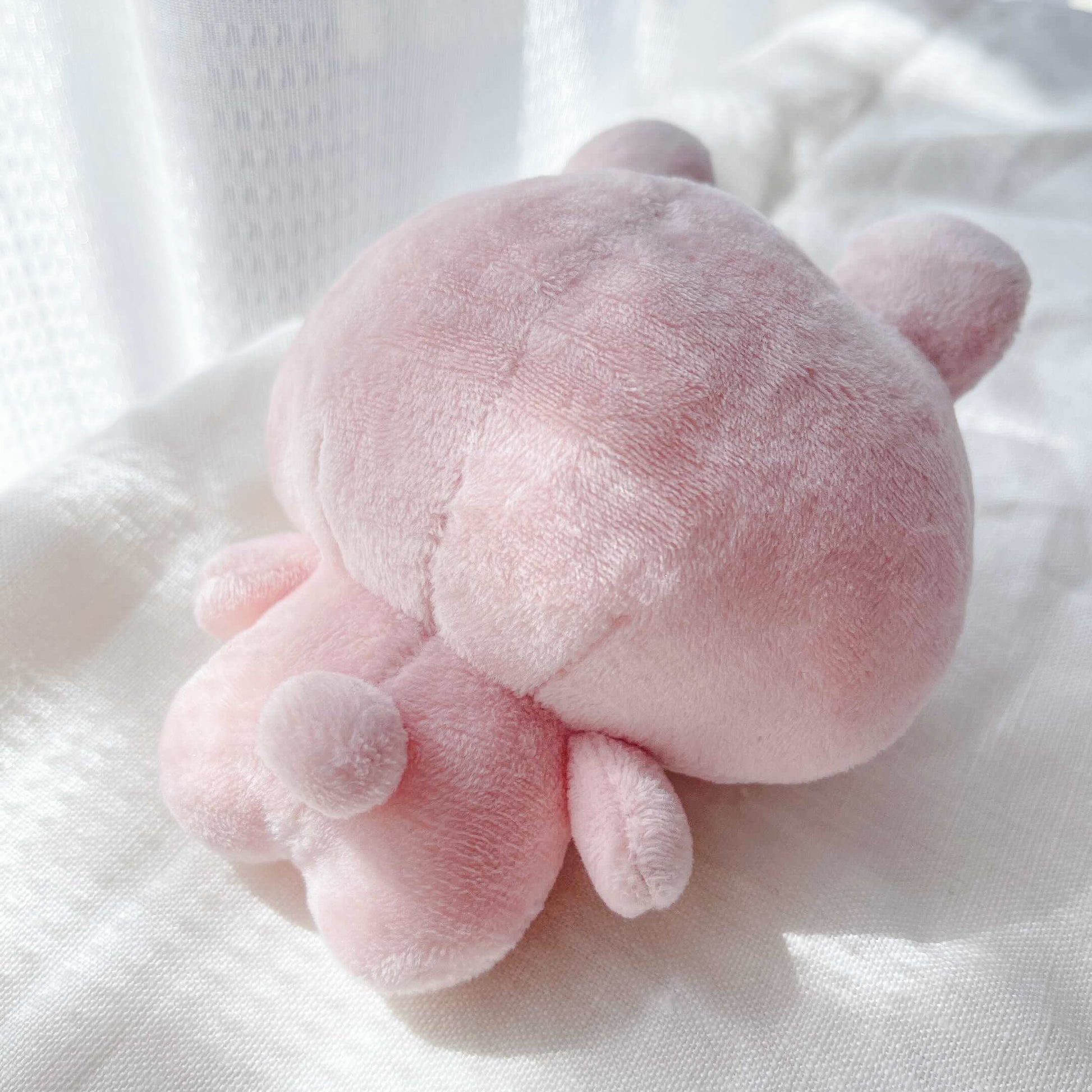あさみみちゃん】あさみみぬいぐるみ30cm＆ぬいぐるみキーホルダー