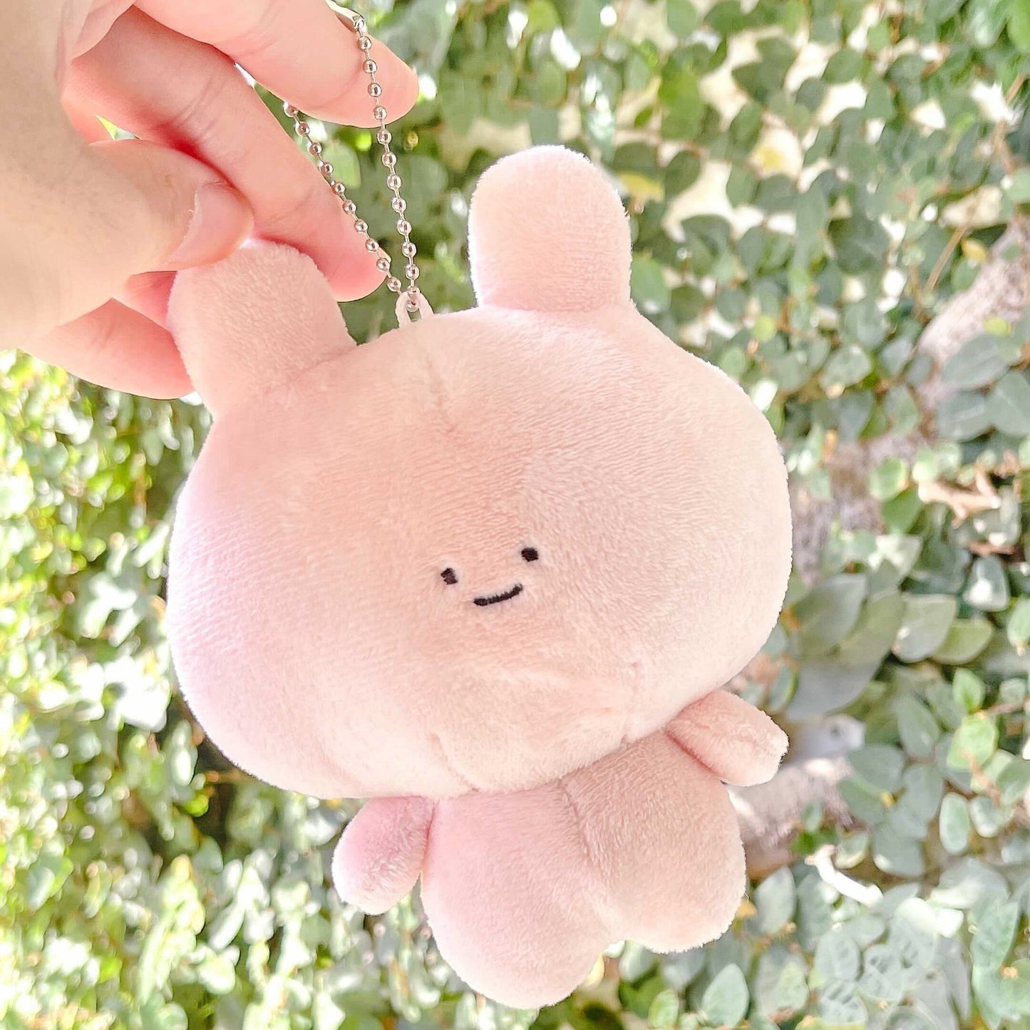 【あさみみちゃん】あさみみぬいぐるみ30cm＆ぬいぐるみキーホルダーセット